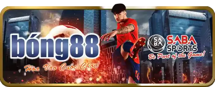 Chương trình VIP yo888
